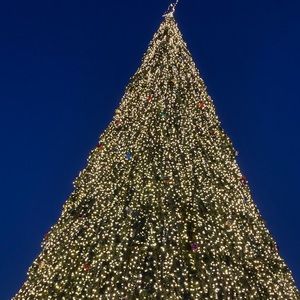 Meet your Posher, Dolores